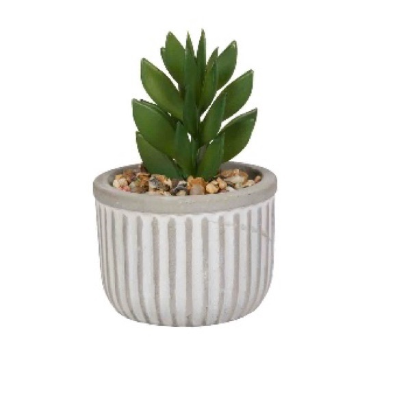 Rustic Planters w/ Succulents (Set of 4) - Picture 4 of 6